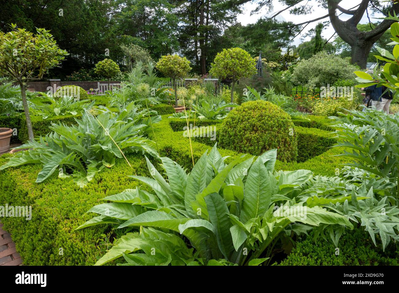 Il New York Botanical Garden, situato nel Bronx, è un museo vivente, un'istituzione educativa e un'attrazione culturale iconica, Stati Uniti 2024 Foto Stock