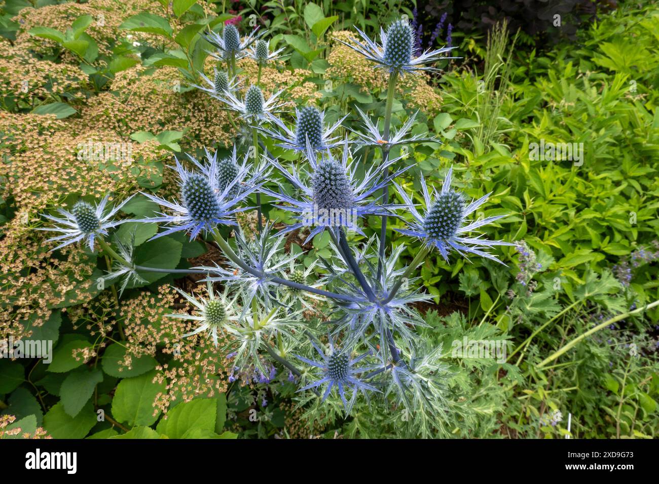 Il New York Botanical Garden, situato nel Bronx, è un museo vivente, un'istituzione educativa e un'attrazione culturale iconica, Stati Uniti 2024 Foto Stock