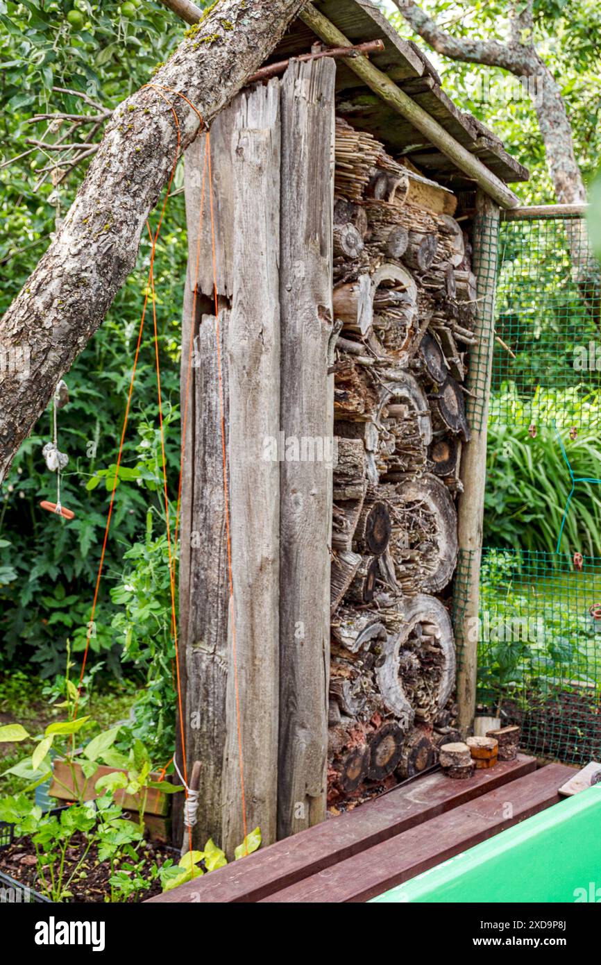 pelo di legna da ardere decorato con fiori e oggetti da giardino, legna da ardere per l'inverno, decorazioni da giardino, periodo estivo Foto Stock