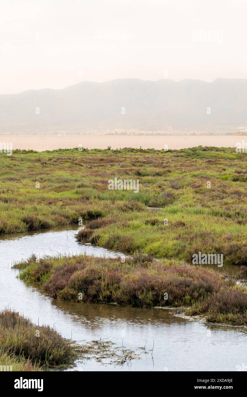 Tranquilla palude con canali d'acqua tra erba e vegetazione sotto uno sfondo di montagna nebbioso, paesaggio nel Delta del Ebro a Tarragona in Spagna Foto Stock