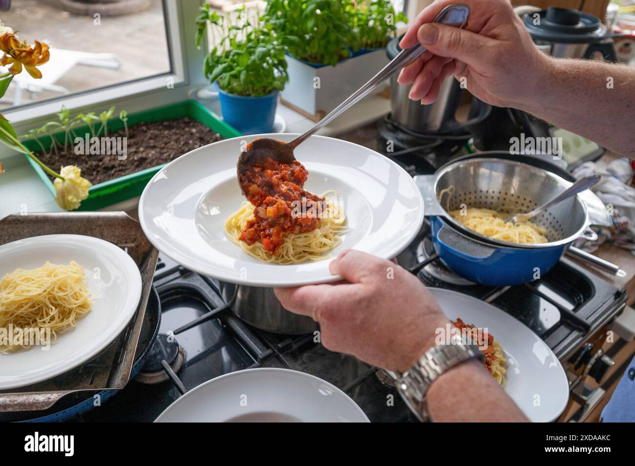 Pranzo di famiglia, spaghetti freschi bolognesi distribuiti su piatti, Baviera, Germania Foto Stock