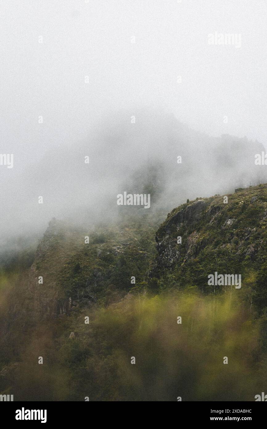 Montagne nebbiose e verdi colline in un'atmosfera nebbiosa, Coromandel Pinnacles, nuova Zelanda Foto Stock