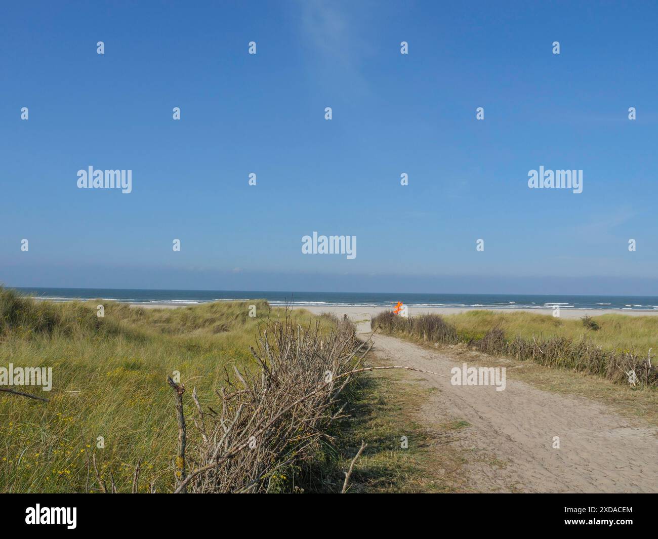 Sentiero sabbioso per la spiaggia, circondato da una vegetazione bassa e da un cielo azzurro, Juist, Frisia Orientale, Germania Foto Stock
