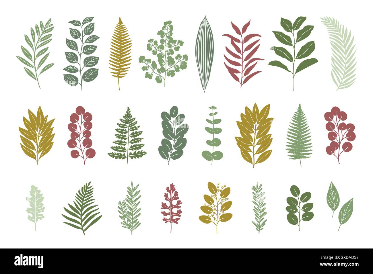 Collezione di silhouette per il verde delle nozze. Serie di magnolia, eucalipto, baia, salame, felce, limone, rosmarino, foglie naturali di oliva. Immagine vettoriale disegnata a mano Illustrazione Vettoriale