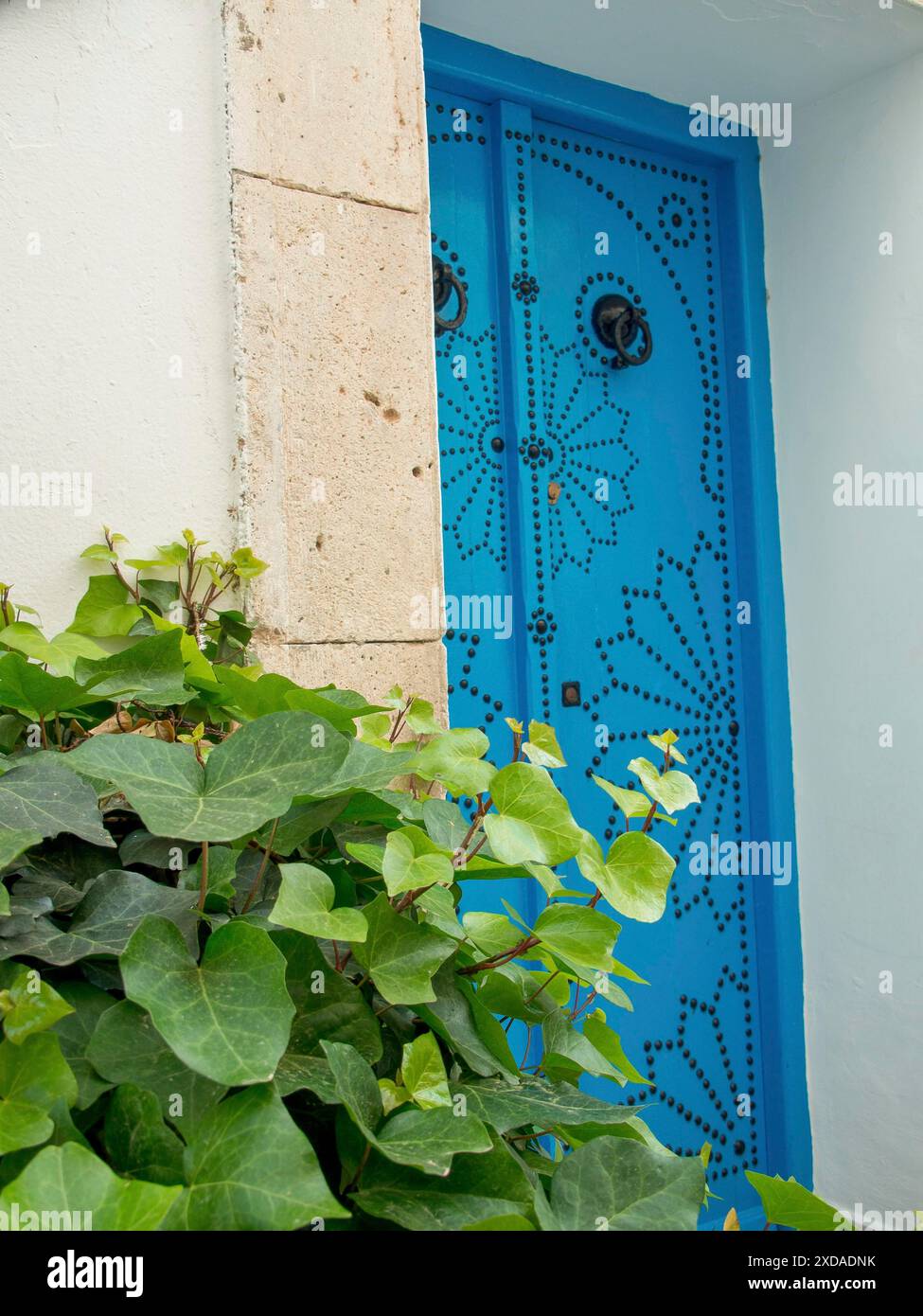 Porta blu decorativa con telaio in pietra e edera che si distingue contro una parete bianca, Tunisi, Tunisia Foto Stock