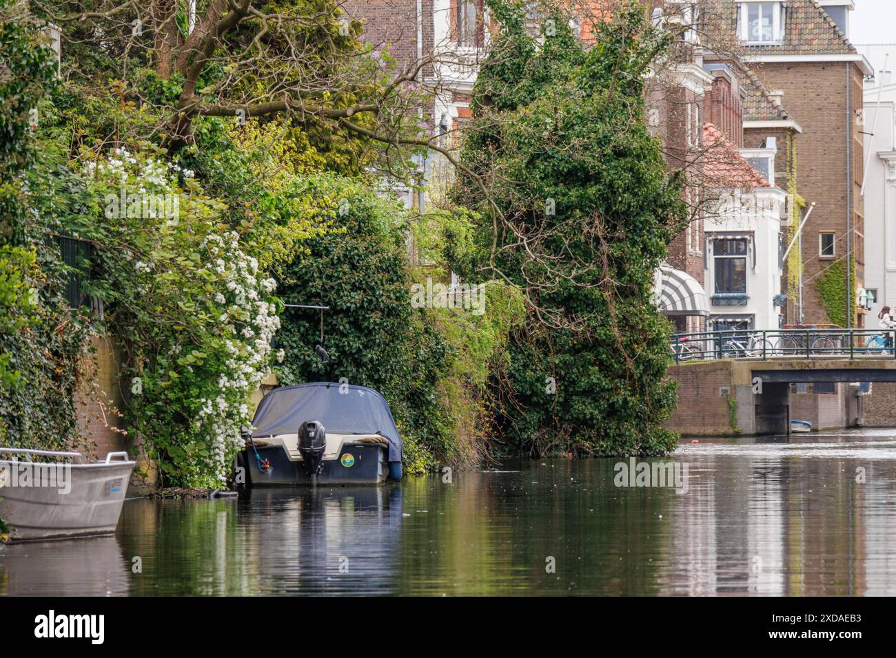 Tranquillo canale con barche e case sovrastate, atmosfera idilliaca, l'aia Den, paesi bassi Foto Stock