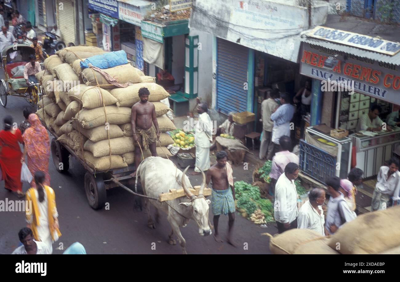 Un contadino con un carro di buoi in una strada commerciale nella città di Chennai, nella provincia di Tamil Nadu in India. India, Chennai, aprile 1998 Foto Stock