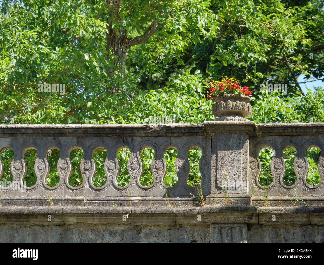 Una vecchia balaustra in pietra con rilievi e un vaso di fiori, circondata da vegetazione lussureggiante, wuerzburg, baviera, germania Foto Stock