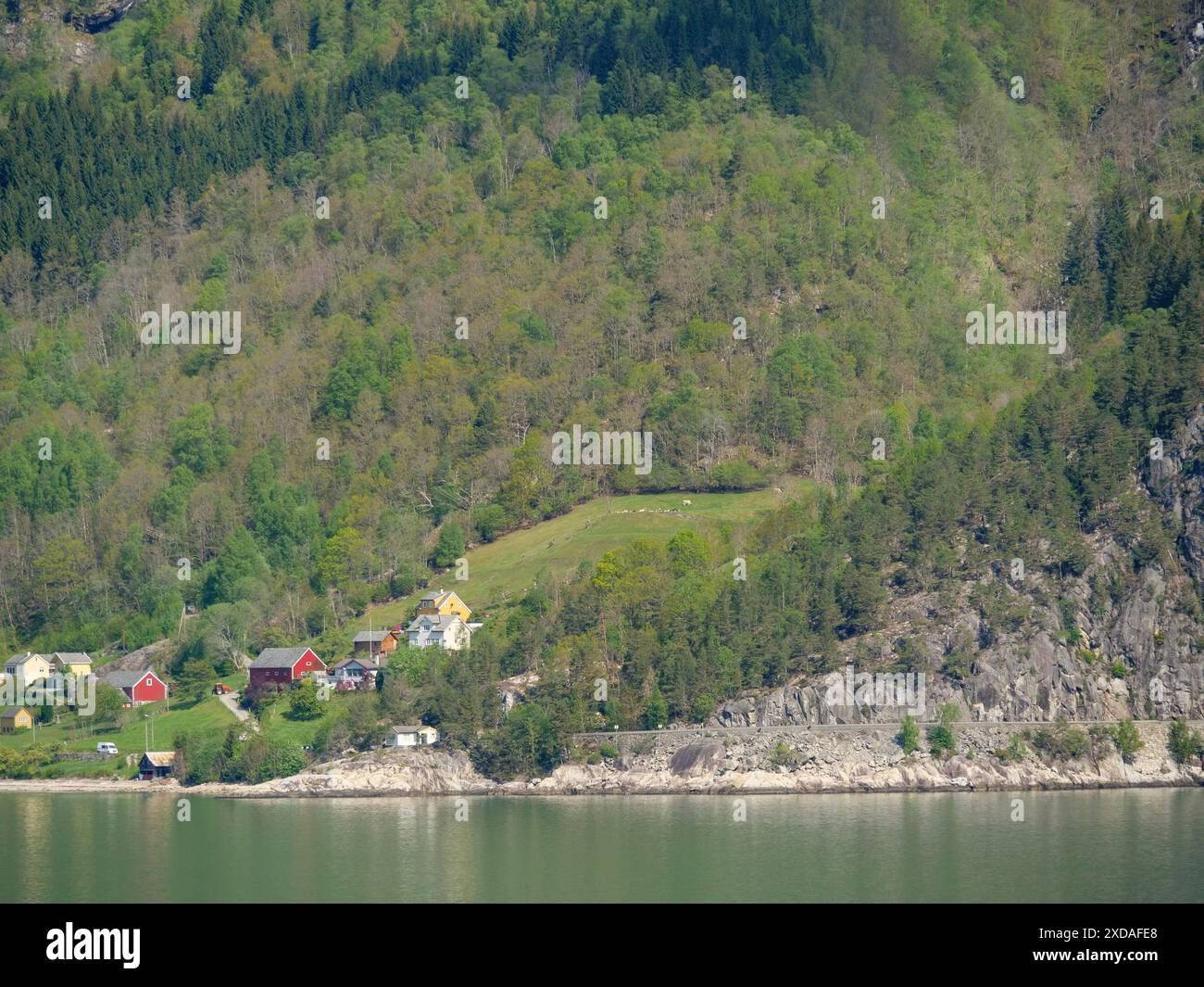 Case lungo un lago, annidate in una collina boscosa con un'atmosfera tranquilla, Eidfjord, norvegia Foto Stock