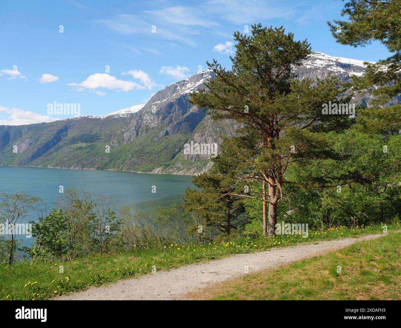 Un sentiero con vista sul mare e sulle montagne innevate in una giornata di sole, eidfjord, norvegia Foto Stock
