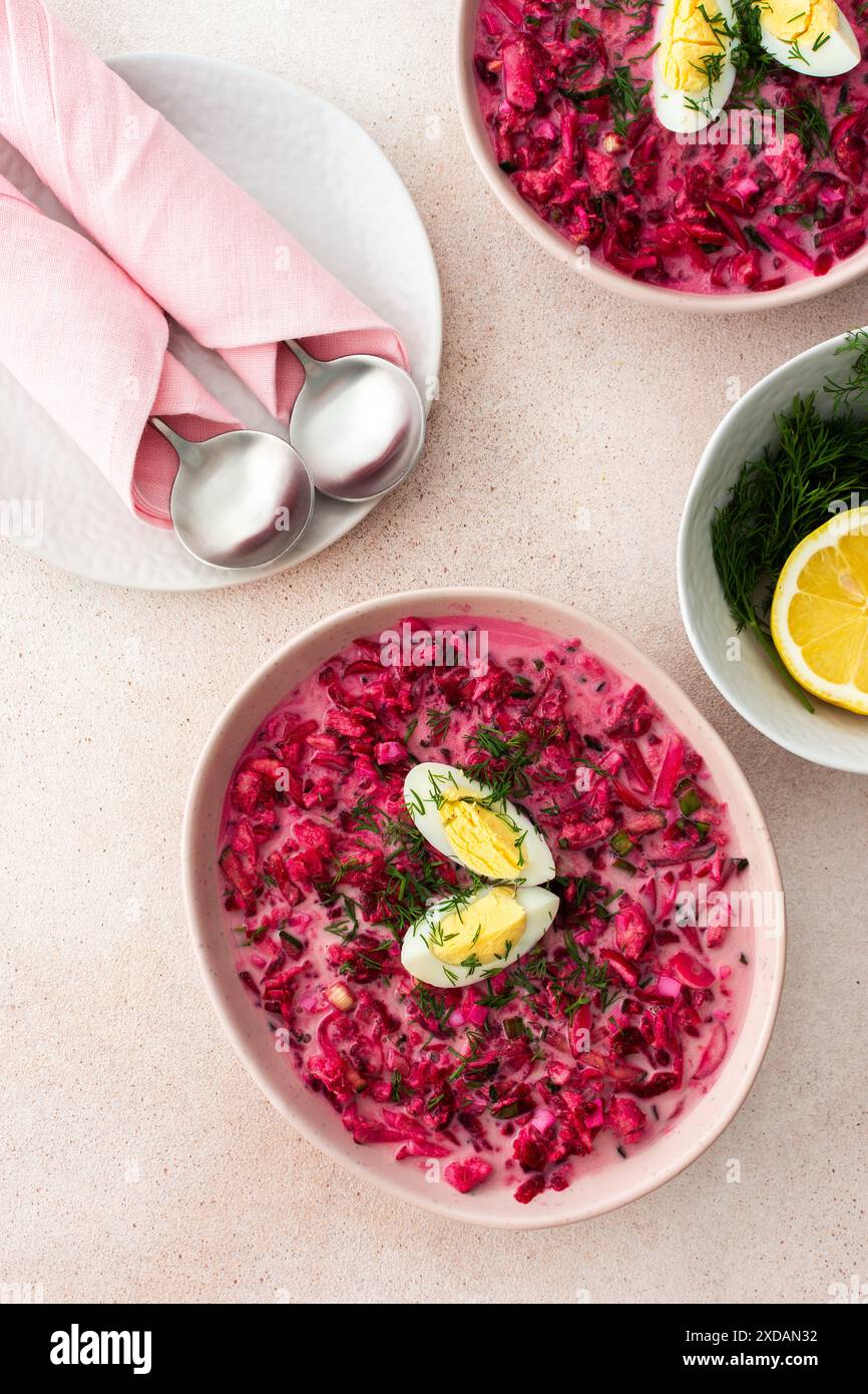Zuppa di barbabietole fredde estive a base di barbabietole, ravanelli, cetrioli, patate ed erbe aromatiche, guarnita con uova, un rinfrescante pranzo estivo Foto Stock