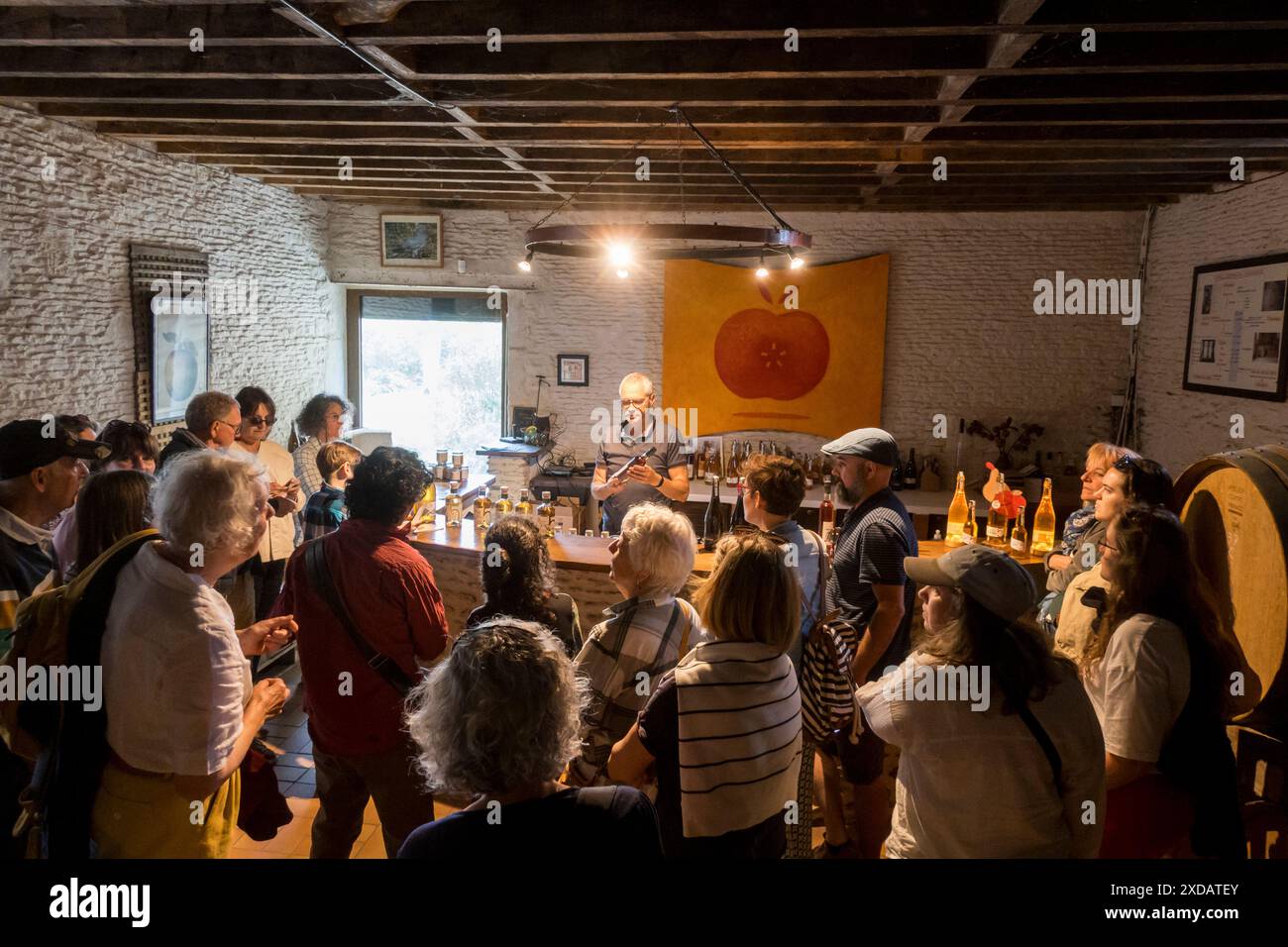 Francia, Normandia, regione di Calvados, Val es Dunes, Valambray. Domaine des 5 autels - produttore di sidro biologico. Un gruppo di turisti nella sala degustazioni, bar, negozio. Foto Stock