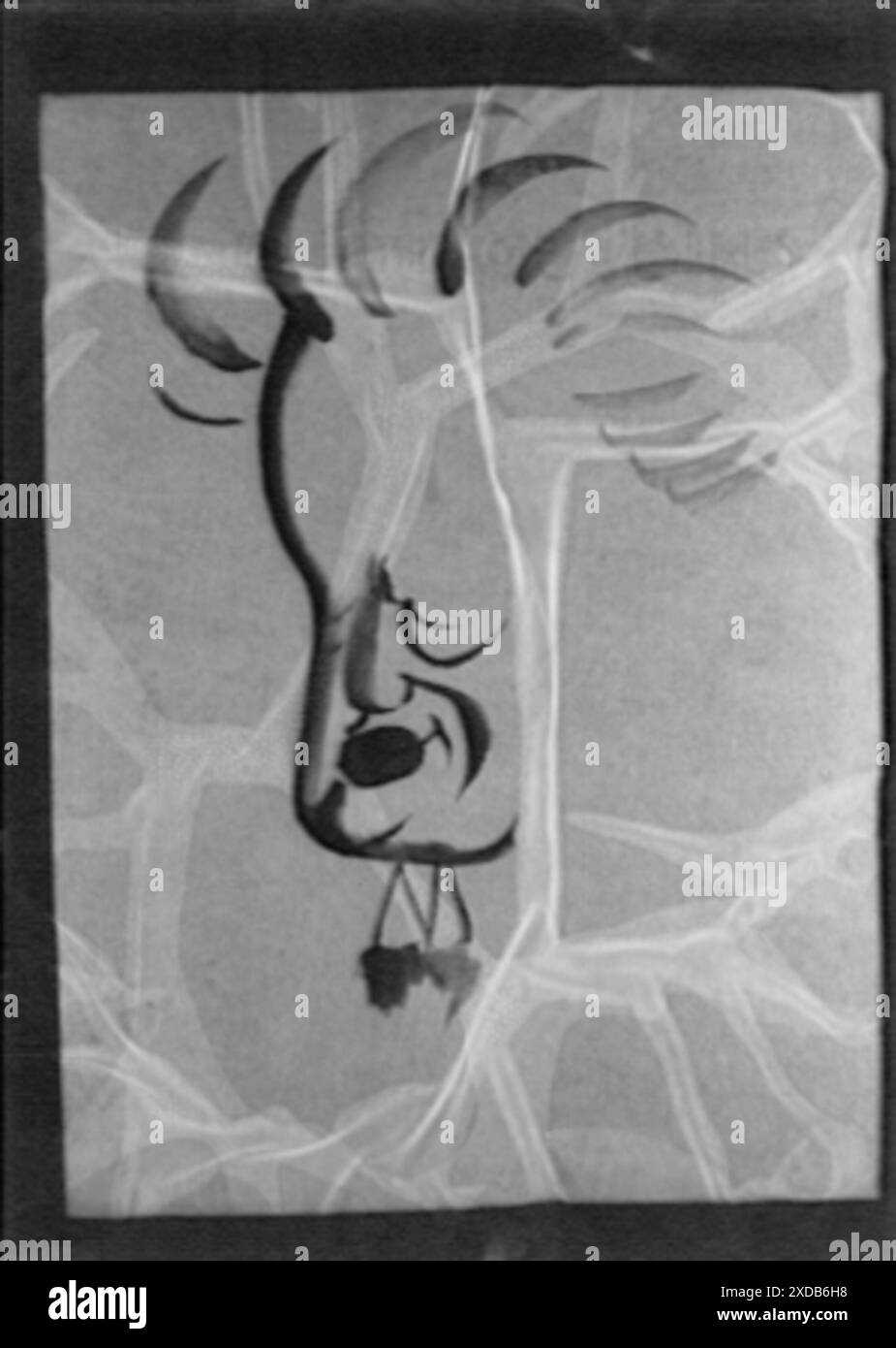 Disegno caricaturale di Arnold Genthe. Collezione fotografica Genthe. Foto Stock