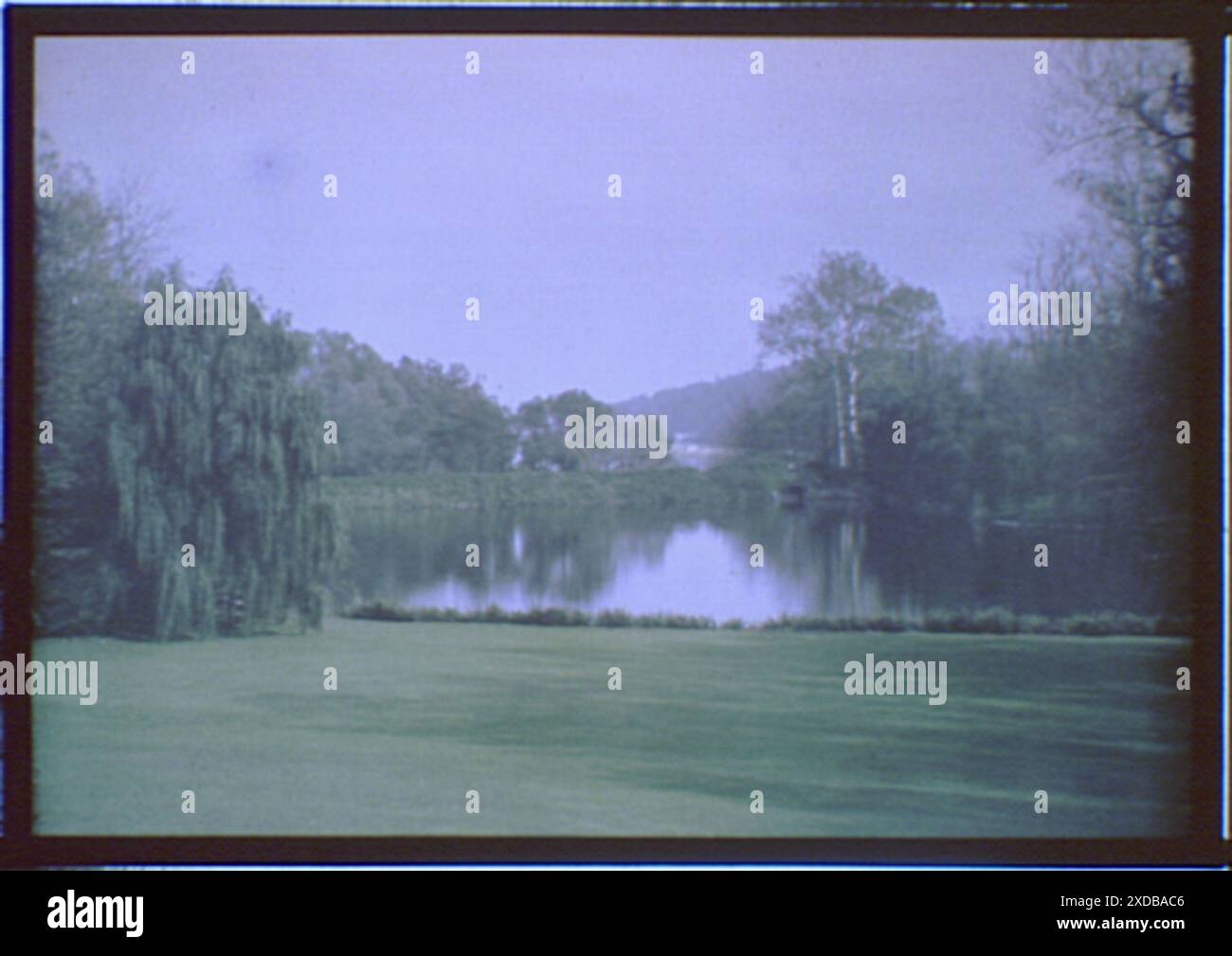 Terreni della proprietà di Myron C. Taylor, Locust Valley, Long Island, New York. Collezione fotografica Genthe. Foto Stock