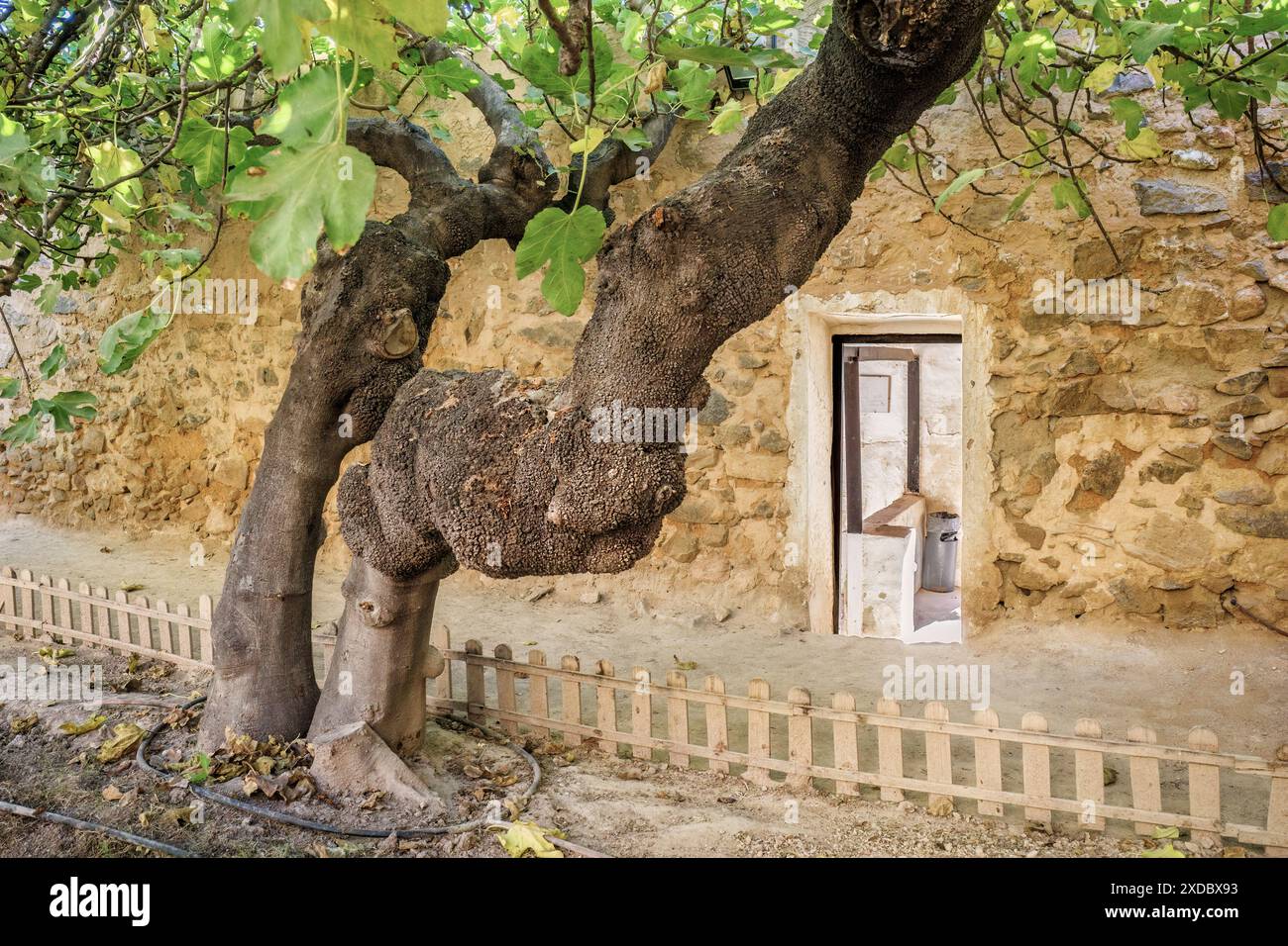Miguel Hernández Casa Museo dove il poeta visse con la sua famiglia dal 1914 al 1934 nella città di Orihuela, dove nacque, Alicante, Spagna. Foto Stock