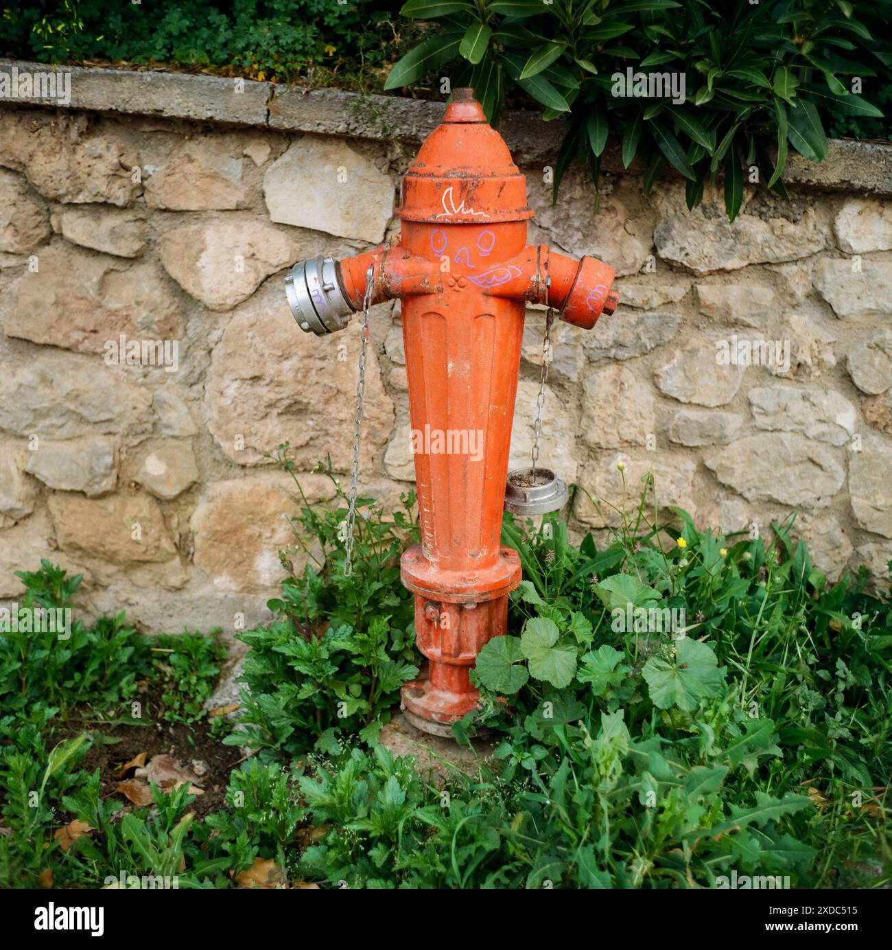 Idrante del fuoco, Delfi, Tessaglia, Grecia Foto Stock