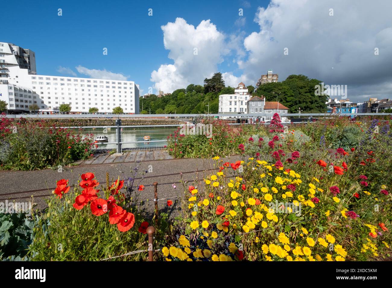 Folkestone, Kent, Regno Unito fiori sul vecchio viadotto ferroviario pedonale che trasportava i treni in barca verso il continente. Foto Stock