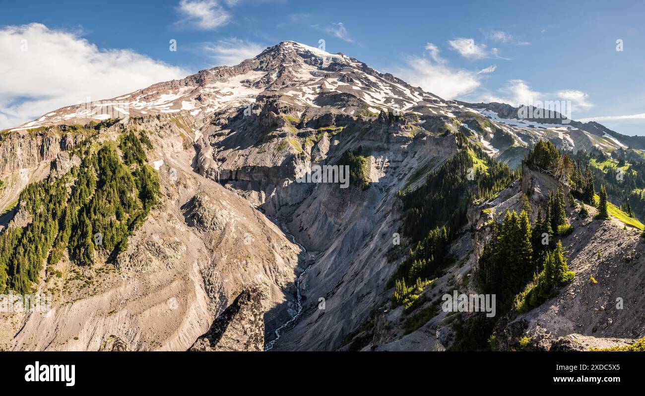 Il fiume scorre attraverso la gola profonda sotto il Monte Rainier da Mildred Point nel pomeriggio estivo Foto Stock