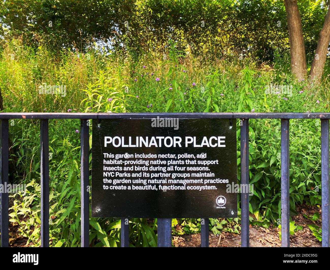 Un cartello "Pollinator Place" in un parco di New York City, un giardino che fornisce nettare, polline e piante autoctone che supportano insetti e uccelli impollinatori. Foto Stock