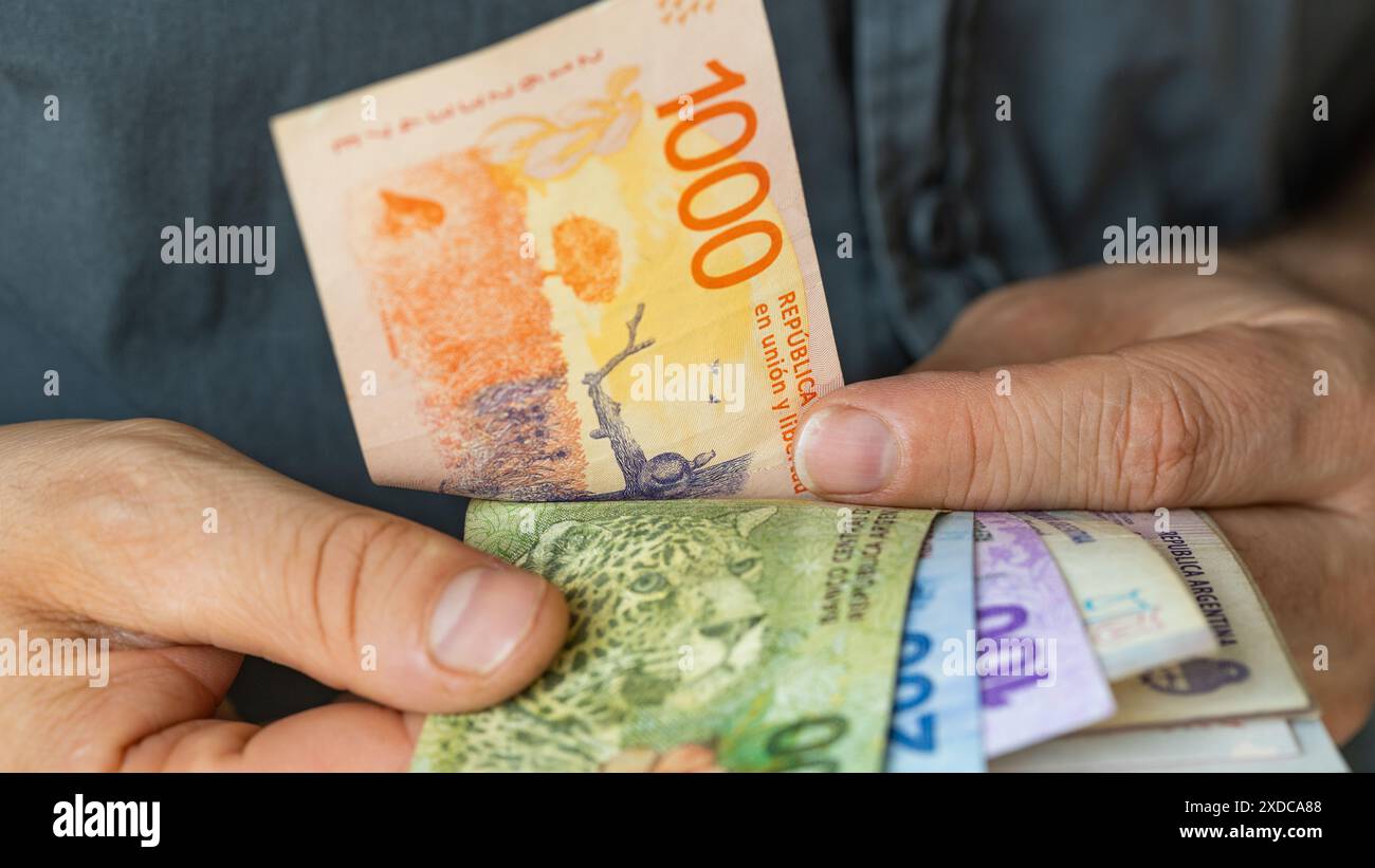 Argentina Money, Man Converts Argentine pesos, Cash in Hand, Financial business concept, Earnings and State of Household budget in Argentina, close up Foto Stock