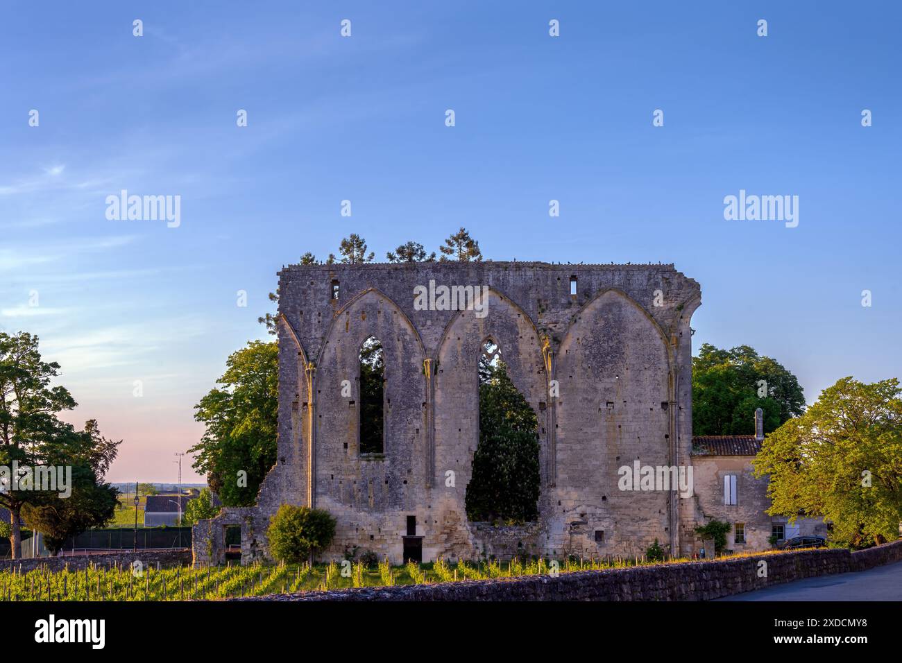 Il grande muro, Saint-Emilion, Gironde, Nouvelle Aquitaine, Francia. L'ultima parete rimasta di un monastero domenicano del XII secolo Foto Stock