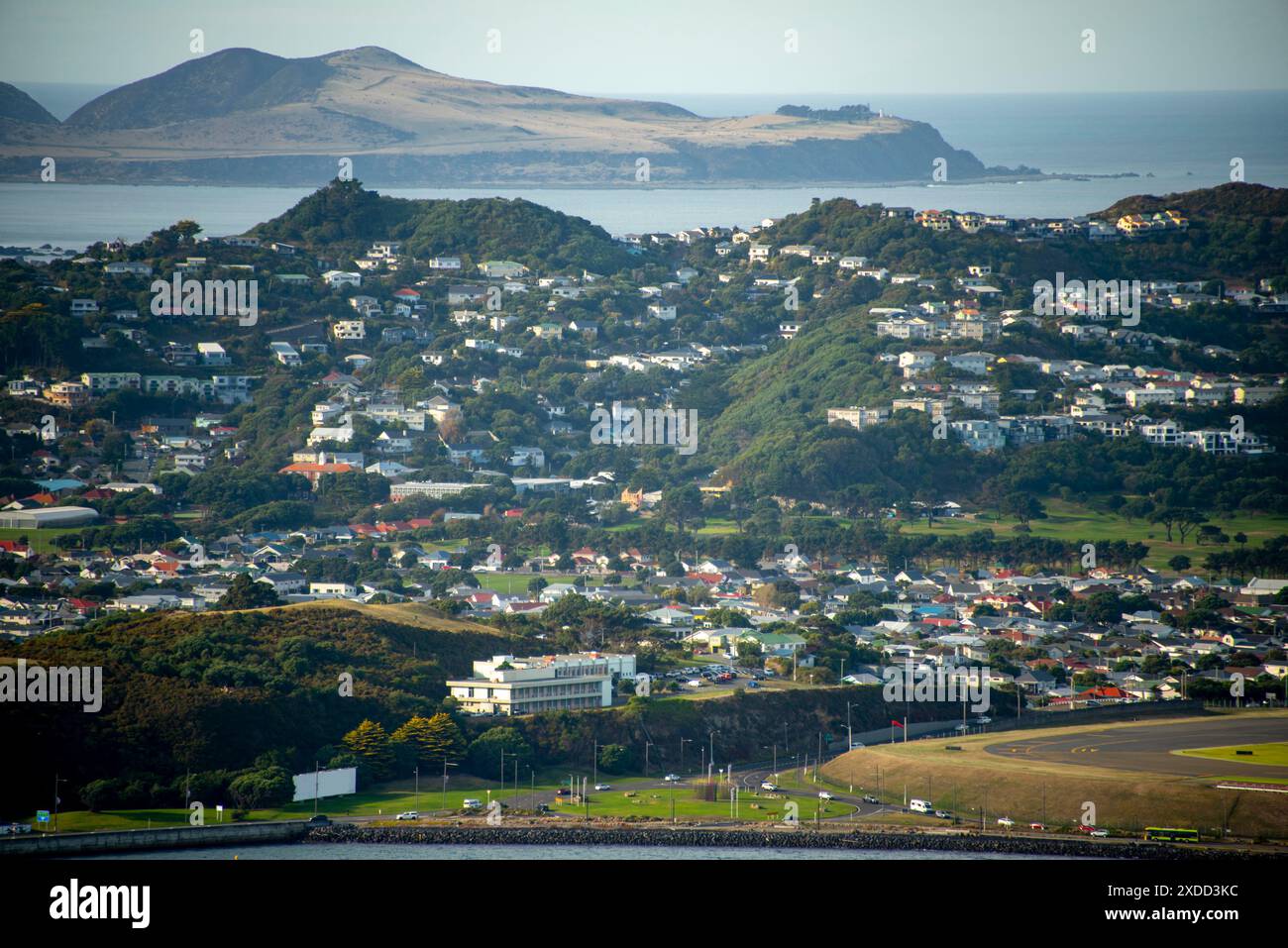 Miramar sobborgo a Wellington - nuova Zelanda Foto Stock