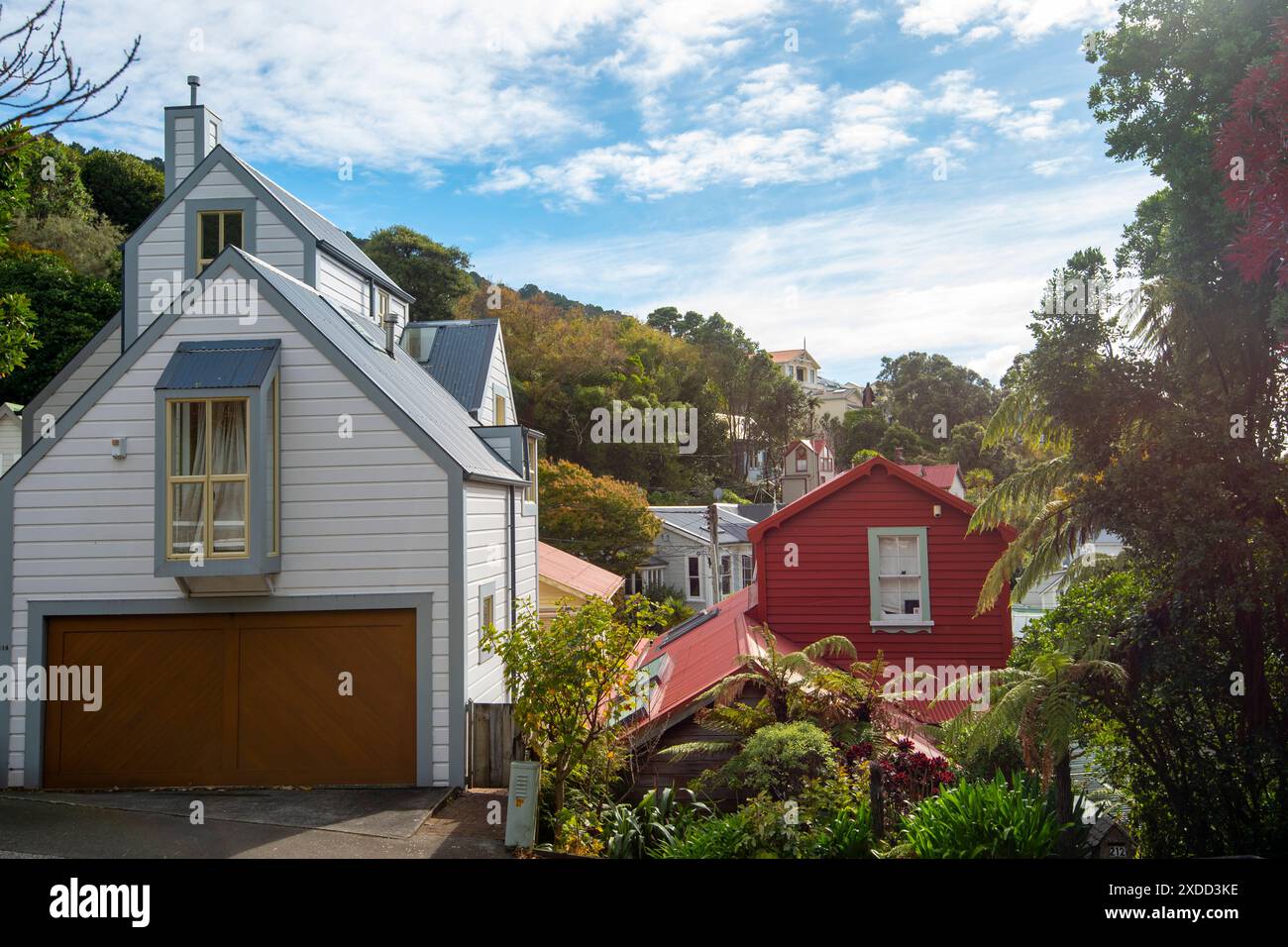 Case residenziali a Wellington - nuova Zelanda Foto Stock