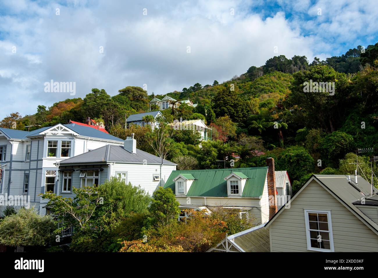Case residenziali a Wellington - nuova Zelanda Foto Stock