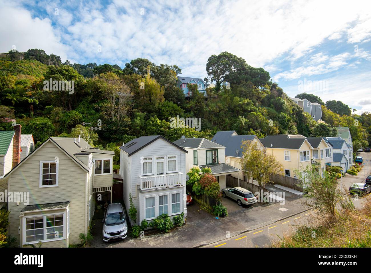 Case residenziali a Wellington - nuova Zelanda Foto Stock