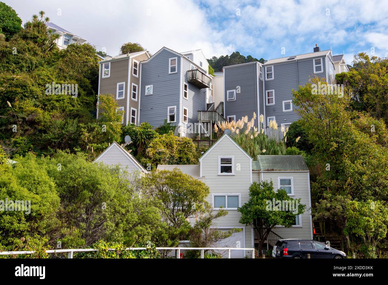 Case residenziali a Wellington - nuova Zelanda Foto Stock