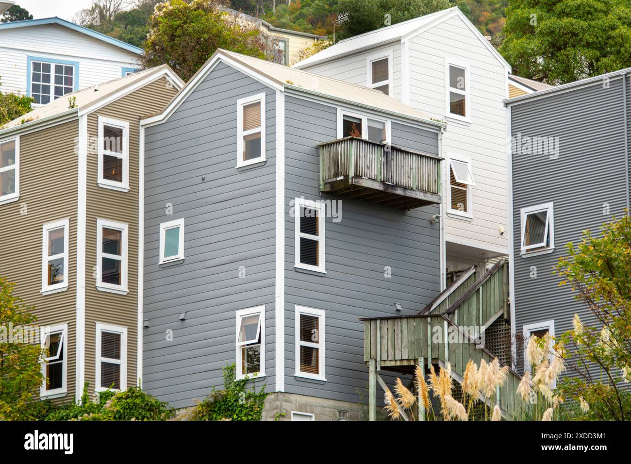 Case residenziali a Wellington - nuova Zelanda Foto Stock