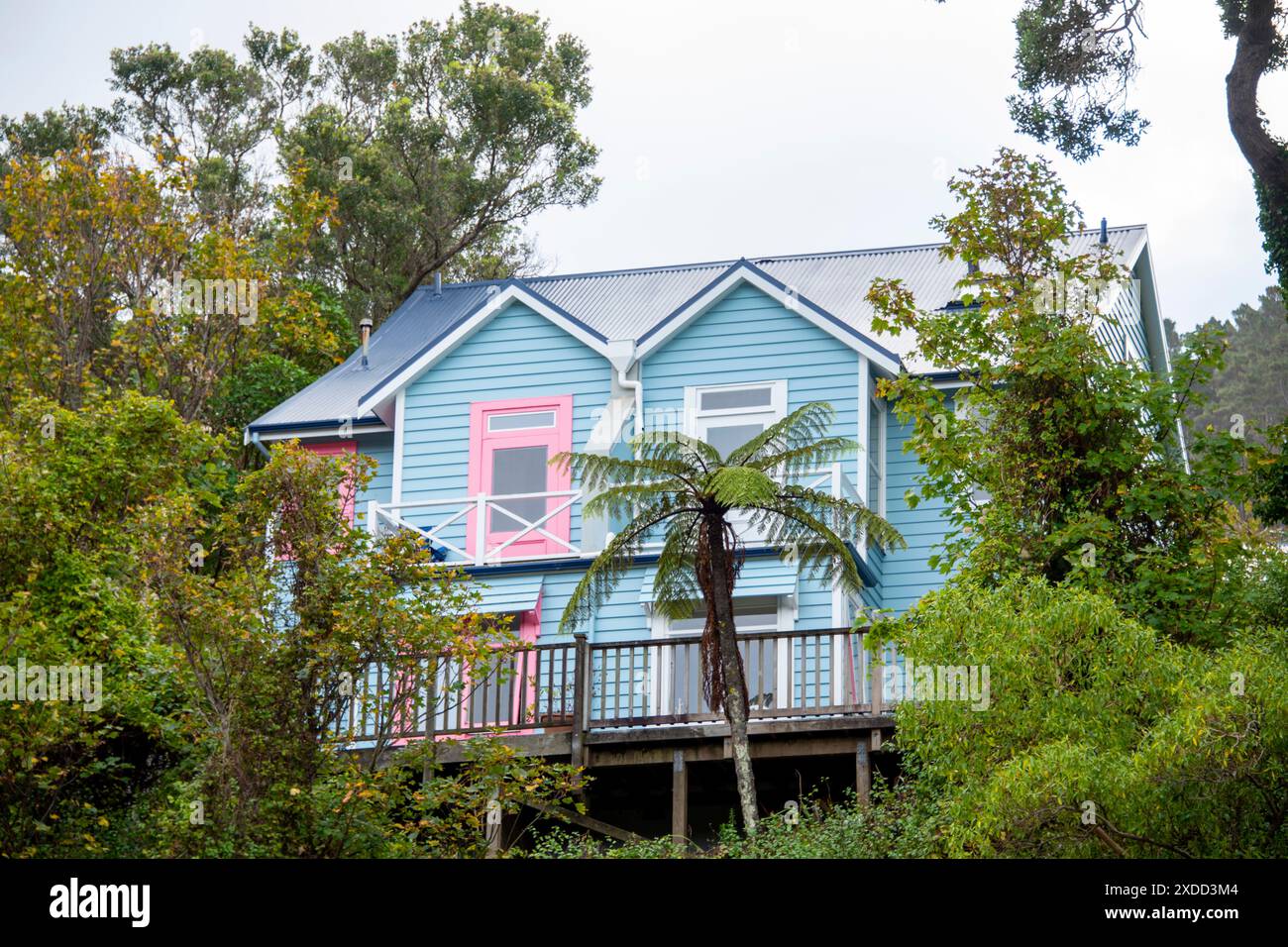 Case residenziali a Wellington - nuova Zelanda Foto Stock