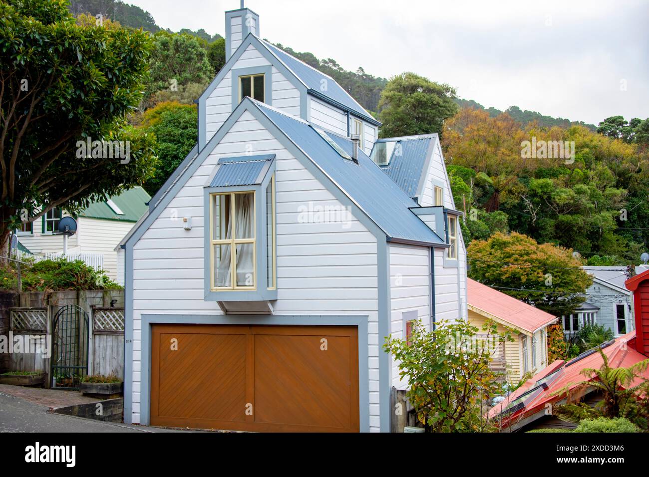 Case residenziali a Wellington - nuova Zelanda Foto Stock