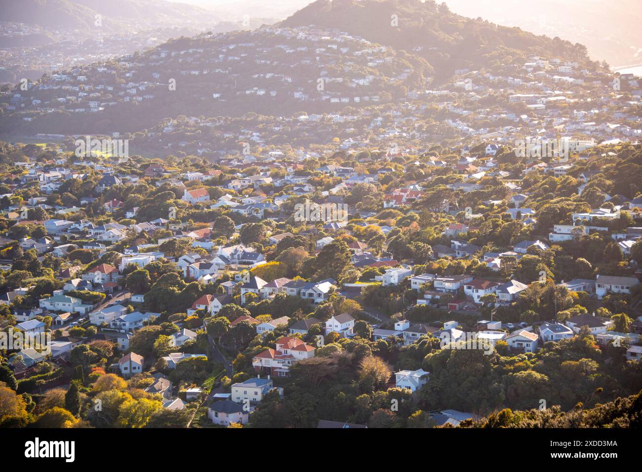 Case residenziali a Wellington - nuova Zelanda Foto Stock