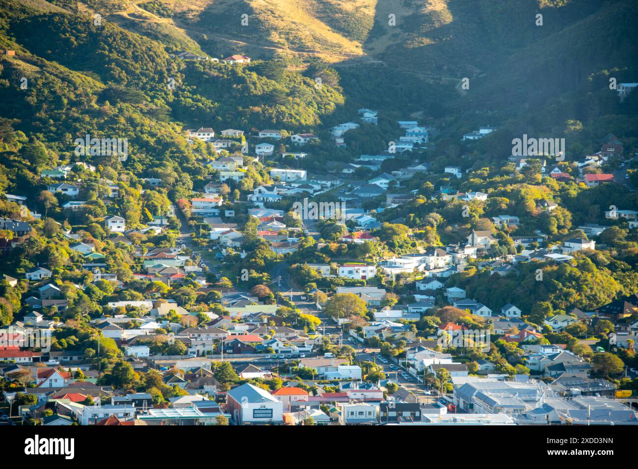 Case residenziali a Wellington - nuova Zelanda Foto Stock