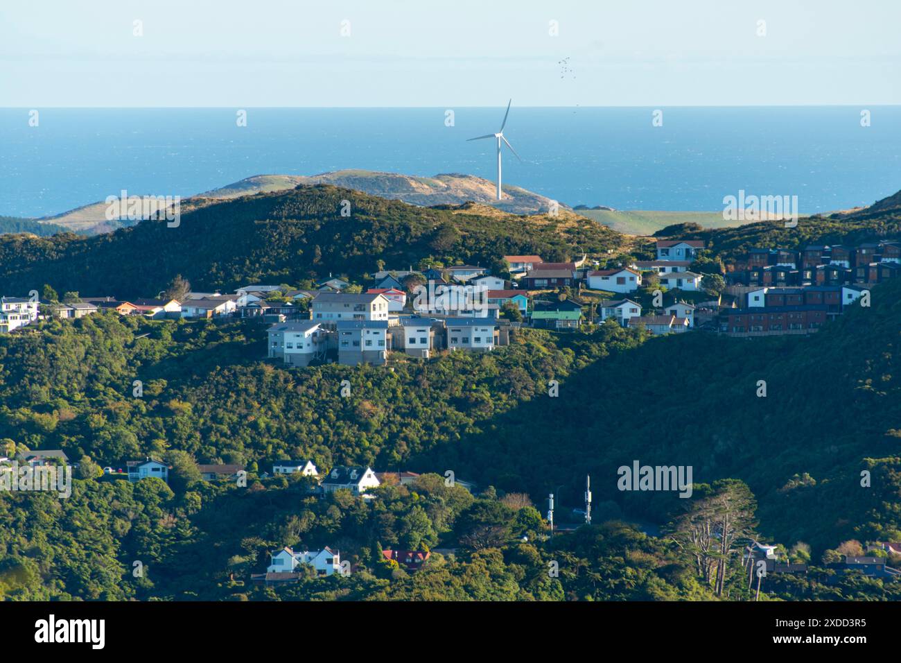 Case residenziali a Wellington - nuova Zelanda Foto Stock