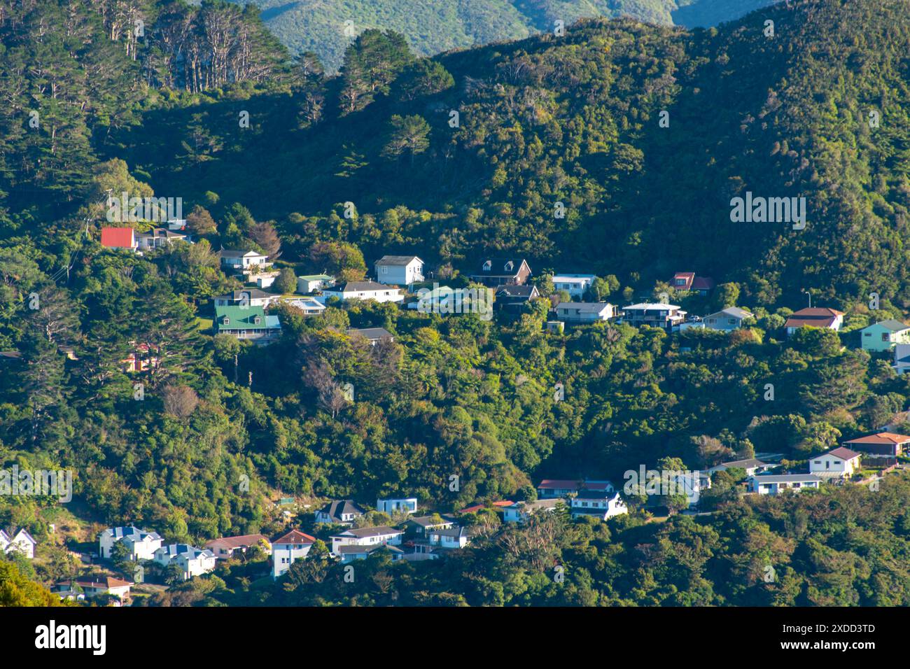 Case residenziali a Wellington - nuova Zelanda Foto Stock
