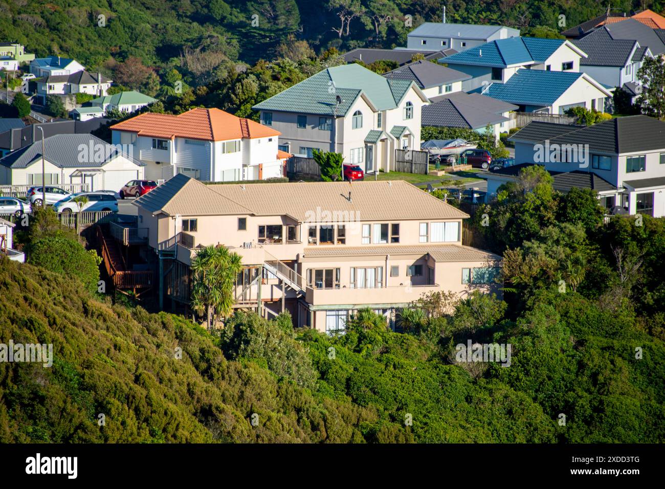 Case residenziali a Wellington - nuova Zelanda Foto Stock
