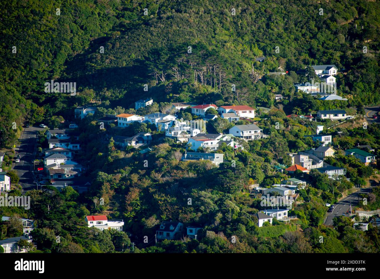Case residenziali a Wellington - nuova Zelanda Foto Stock