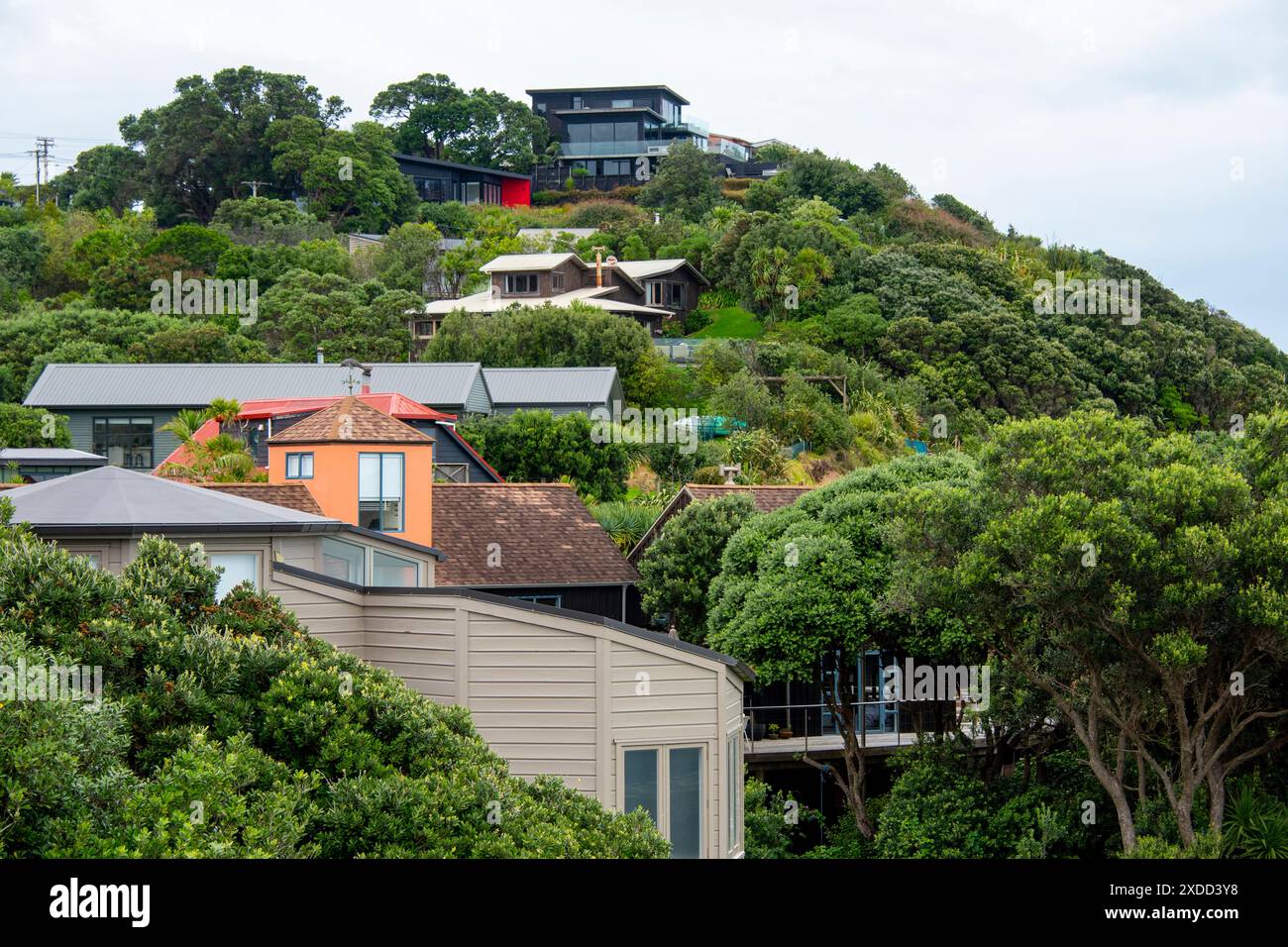 Case residenziali a Muriwai - nuova Zelanda Foto Stock