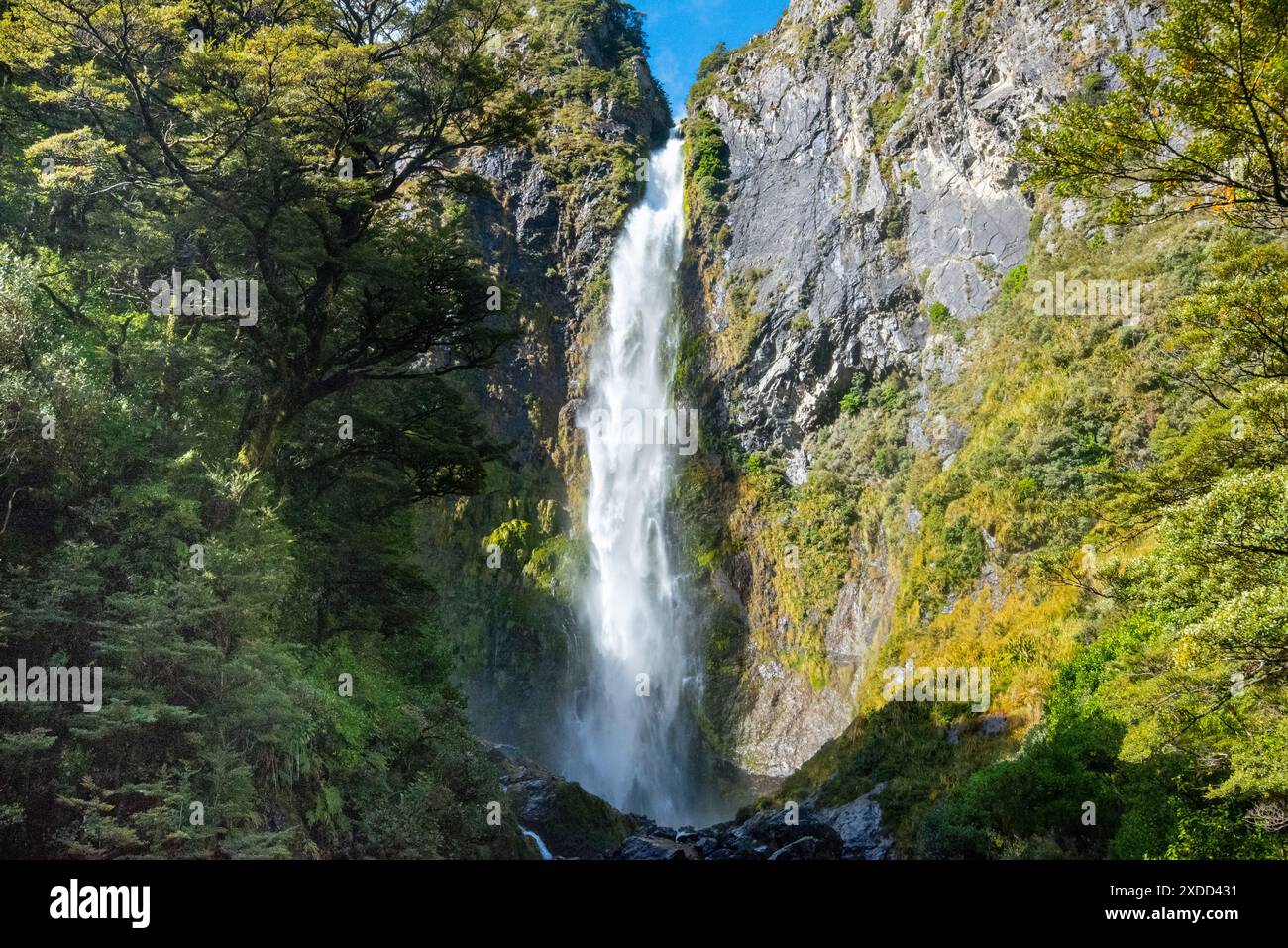 Cascata Devils Punchbowl - nuova Zelanda Foto Stock