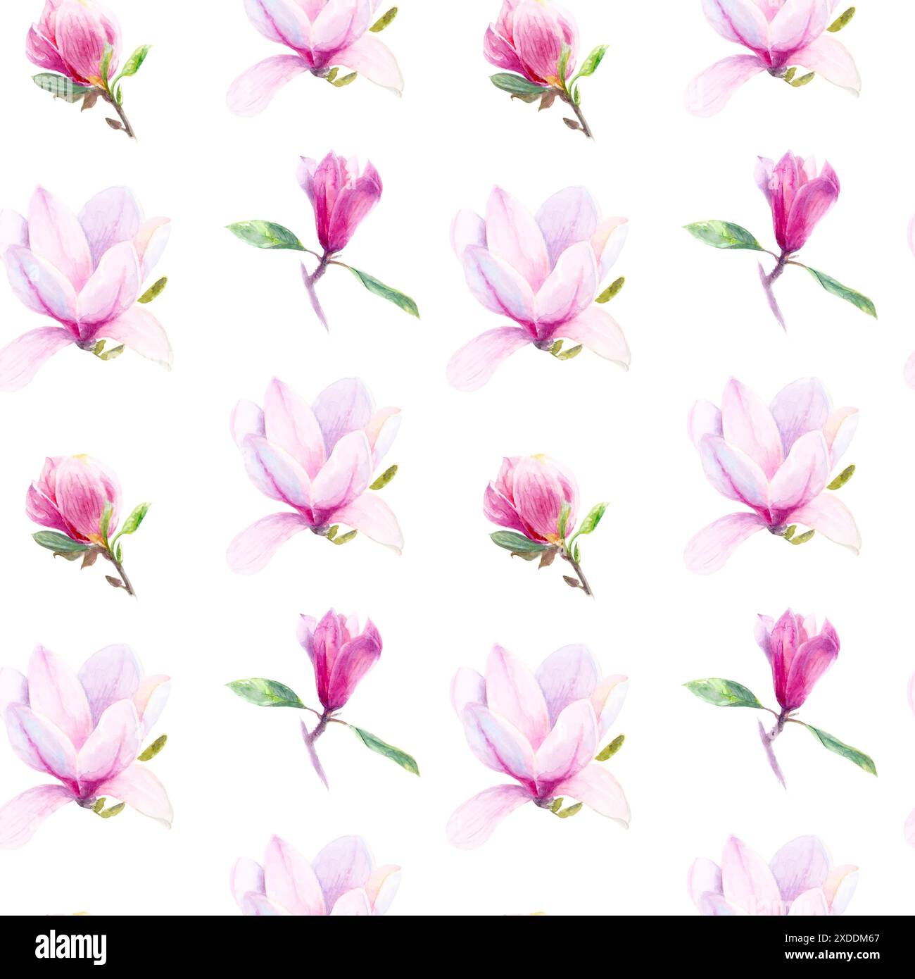 Motivo di acquerello senza cuciture di fiori di Magnolia rosa e viola con foglie verdi Foto Stock