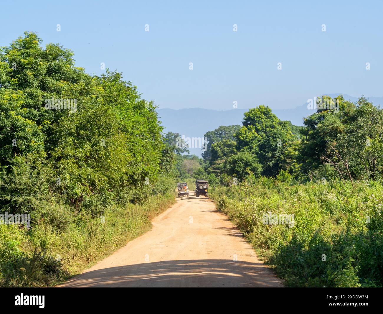 Sri Lanka, Isola di Ceylon - Parco Nazionale di Udawalawe, safari turistico e osservazione degli animali Foto Stock