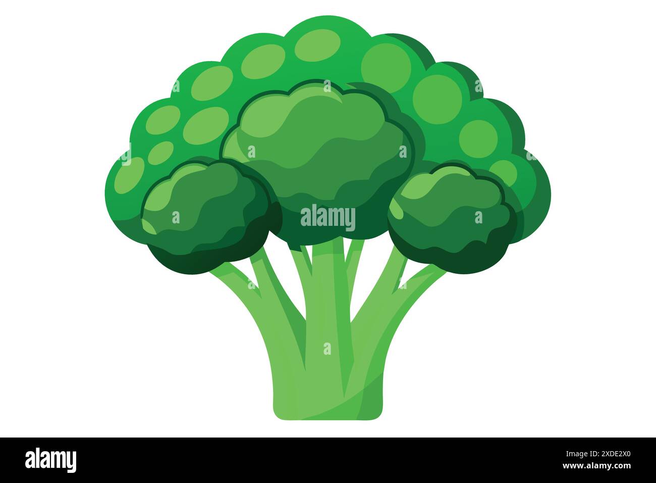 Illustrazione vettoriale dei broccoli verdi Illustrazione Vettoriale