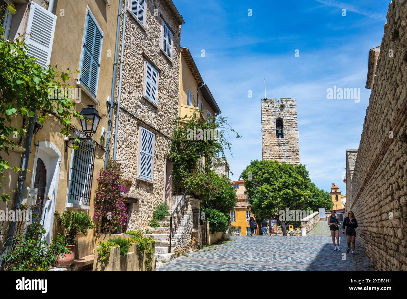 Rue du Bateau, con il campanile della cattedrale, nella città vecchia di Antibes (Vieil Antibes) sulla Costa Azzurra, Côte d'Azur, Provenza, Francia Foto Stock