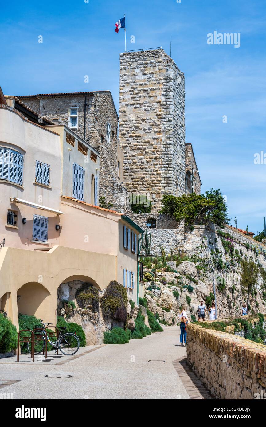 Promenade Amiral de Grasse con il campanile della cattedrale sullo sfondo nella città vecchia di Antibes (Vieil Antibes), Costa Côte Azzurra, Provenza, Francia Foto Stock