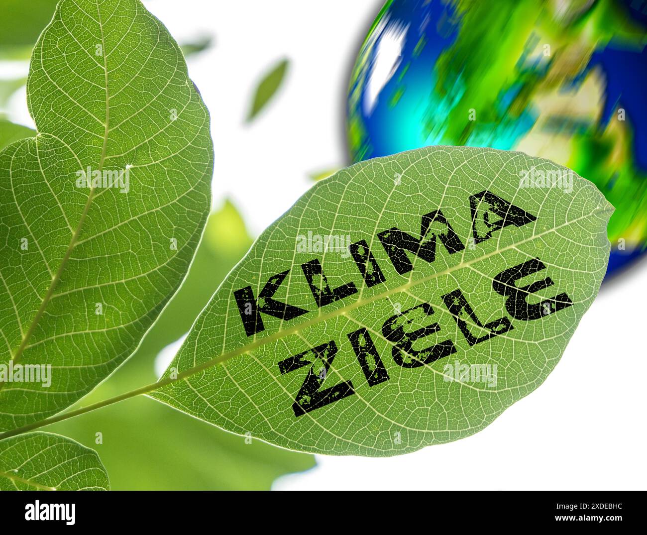 Germania - 22 giugno 2024: Albero con foglie verdi e iscrizione OBIETTIVI CLIMATICI. Il concetto simboleggia gli argomenti relativi al cambiamento climatico in relazione agli OBIETTIVI CLIMATICI globali, nonché l'Europa e la Germania. FOTOMONTAGGIO *** Baum mit Grünen Blättern und Aufschrift KLIMAZIELE. Konzept symbolisiert Themen rund um den Klimawandel im Zusammenhang mit weltweiten KLIMAZIELEN, sowie Europa und Deutschland. FOTOMONTAGE Foto Stock