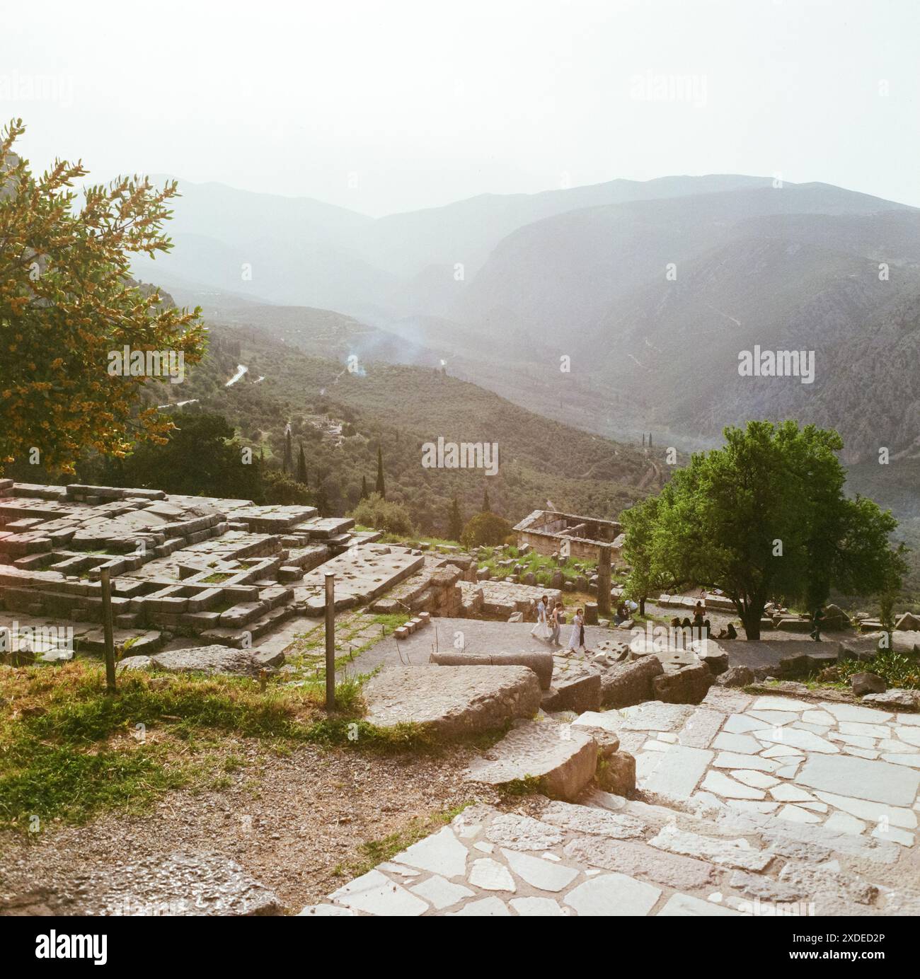 Antica Delfi, Grecia, Europa. Foto Stock