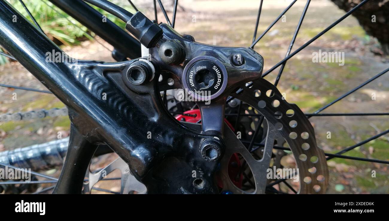 Freno a disco idraulico Shimano XTR per un controllo dei freni ad alte prestazioni in una mountain bike professionale Foto Stock