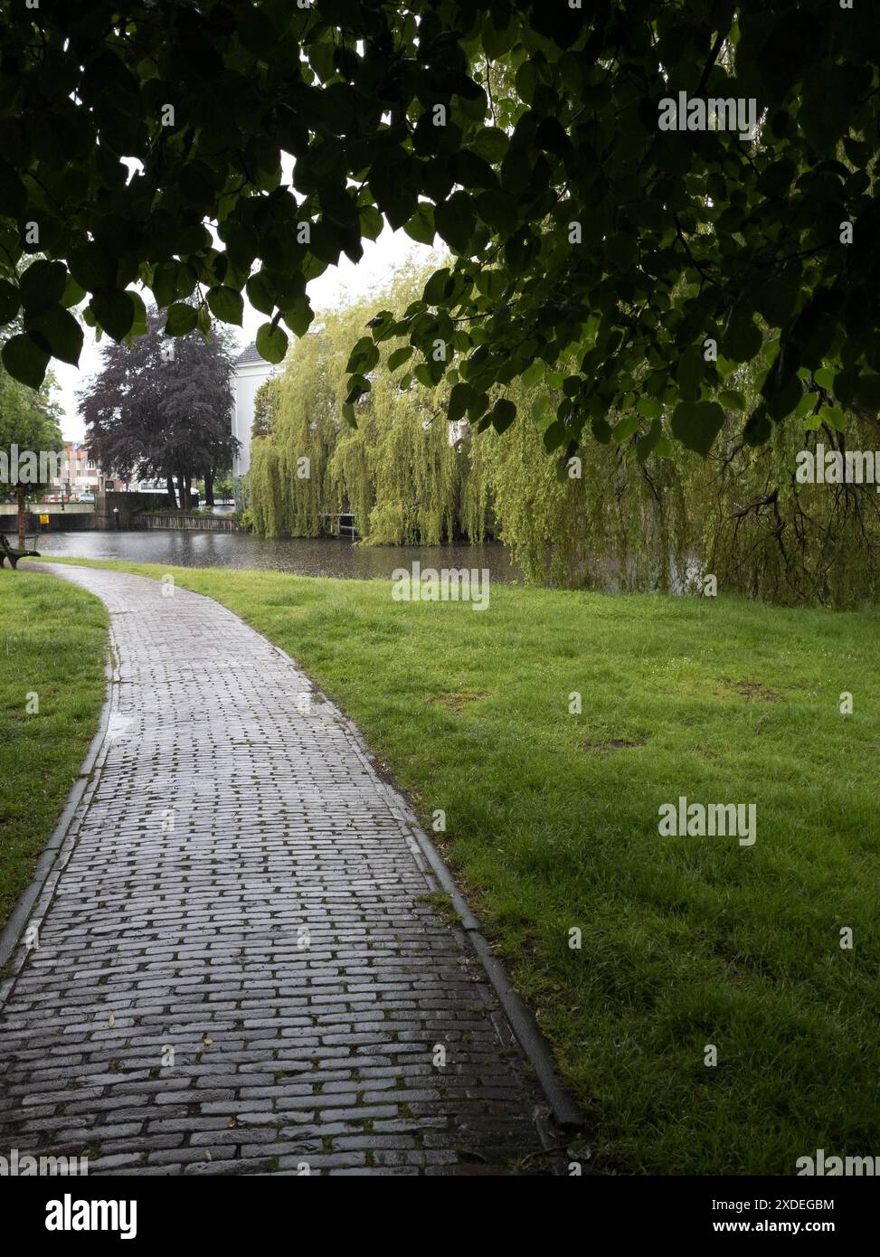 Sentiero in mattoni nel parco nel centro di Leida. Foto Stock